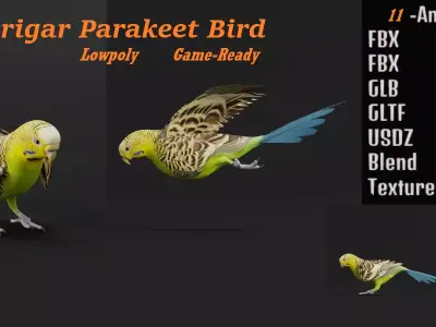 Budgerigar Parakeet Parrot Bird Low-poly 3D model