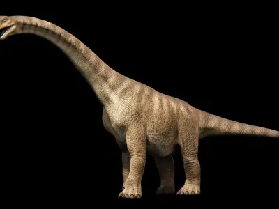 Brachiosaurus Sauropod Dinosaur Low-poly 3D model