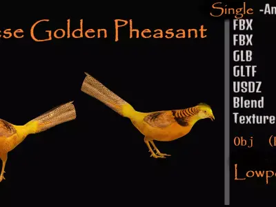 Chinese Golden Pheasant Bird Free low-poly 3D model