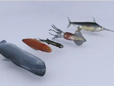 Sea Fish Low-poly 3D model