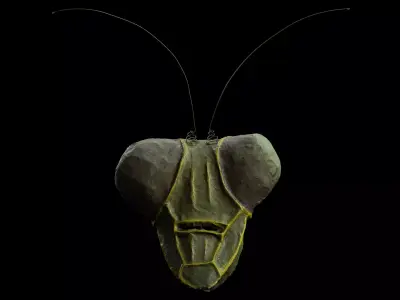 Praying Mantis Mask - 3D Scan Free 3D model
