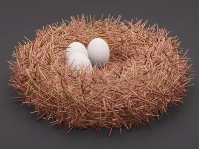 Bird Nest Free 3D model