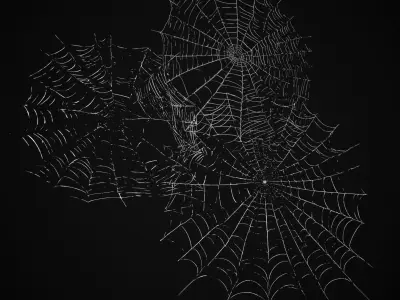 Spider Webs Pack Three Low-poly 3D model