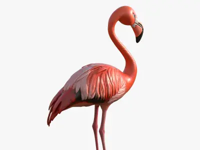 Flamingo Low-poly 3D model