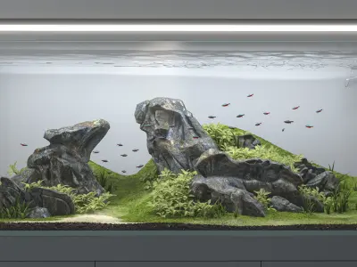 Aquascape aquarium 3D model