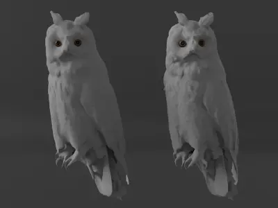 Photorealistic Long Eared Owl Low-poly 3D model