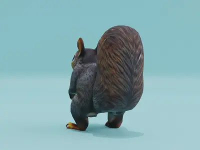 Squirrel realistic Rodent Free low-poly 3D model