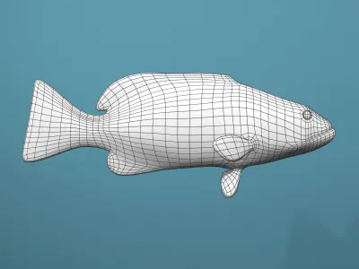 Tiger Grouper Low-poly 3D model