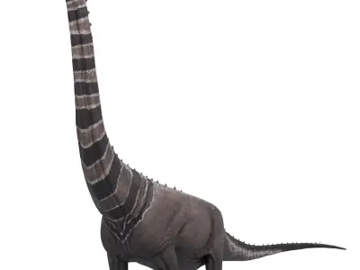 Argentinosaurus Asset Pack Low-poly 3D model