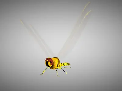Animated dragon fly and butterfly 3D model