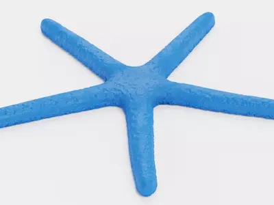 -Blue Stafish - Linckia Laevigata- 3D model