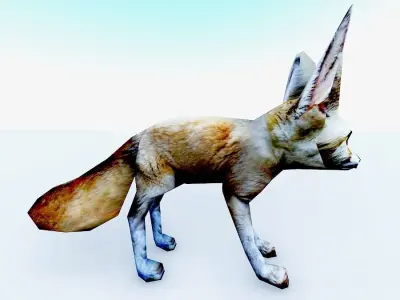 3d hd model of realistic fennec  sand fox  3D model