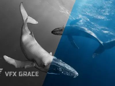 Humpback Whale VFX Grace 3D model