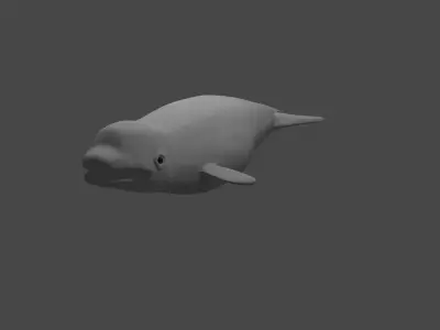 BELUGA WHALE  Low-poly 3D model