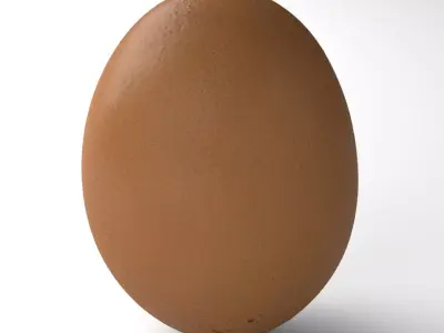 Egg 02 - Photorealistic Scan Low-poly 3D model