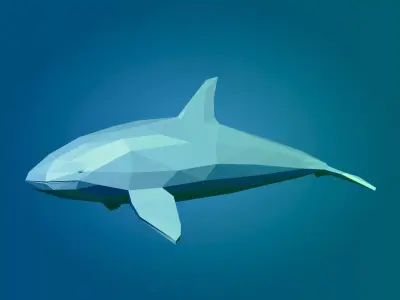 LowPoly killer whale  Low-poly 3D model