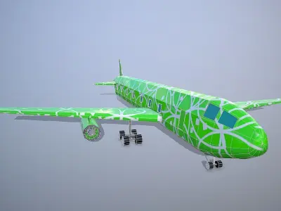 Airplane Hawaii Low-poly 3D model