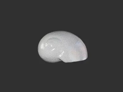 Sea Shell 1 3D model