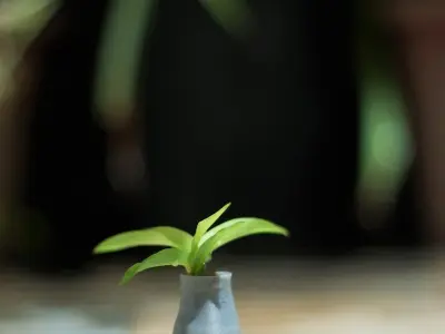 Female vase Free 3D print model