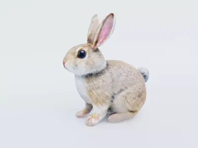 Rabbit Free 3D model