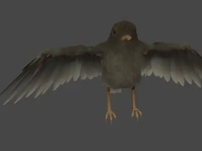 Small Bird 3D model