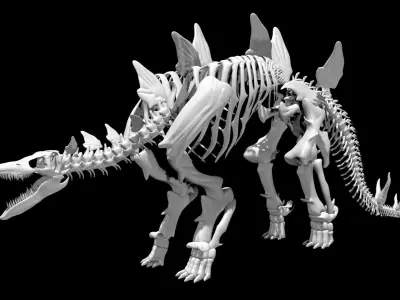 Stegosaurus skeleton Low-poly 3D model