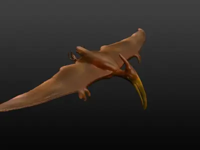 3d model of pterosaur 3D model