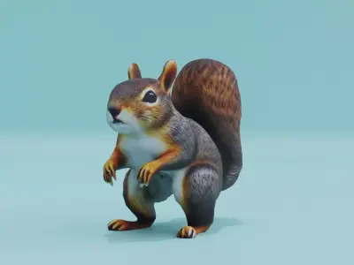 Squirrel realistic Rodent Free low-poly 3D model