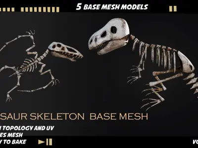 Dinosaur skeleton base mesh-vol 01 Low-poly 3D model