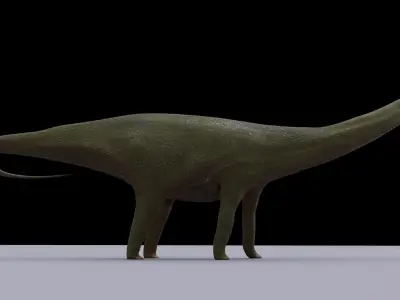 Diplodocus dinosaur 3D model