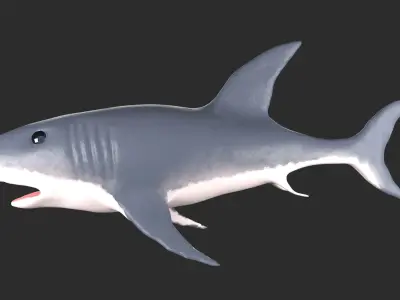 Shark Low-poly 3D model