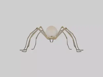 Daddy Longlegs Spider Low-poly 3D model
