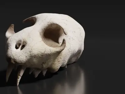 Cat Skull Free 3D model