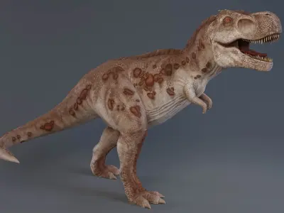 Tyrannosaurus rex rigged 3D model