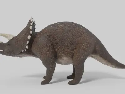 3D Triceratops Model dinosaur Low-poly 3D model