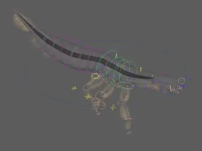 Acilius Sulcatus Larvae Rigged Animation 3D model