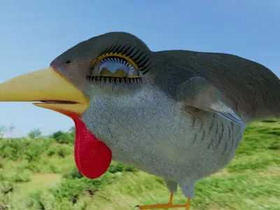 Bird Pheasant Low-poly 3D model