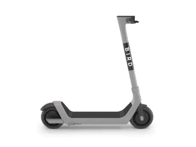 Bird E-step 3D model