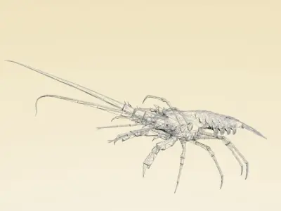 Lobster Low Ploy 3D model