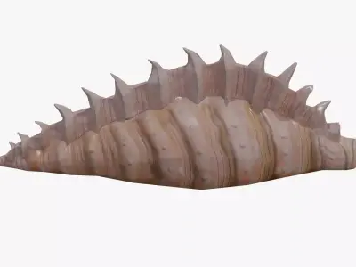 Sea Shell Low-poly 3D model