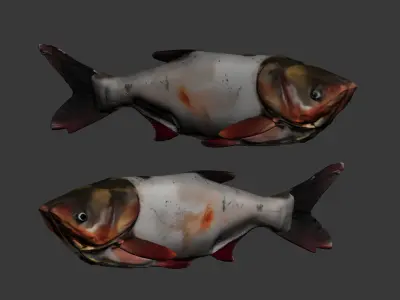 freshwater fish 3D model