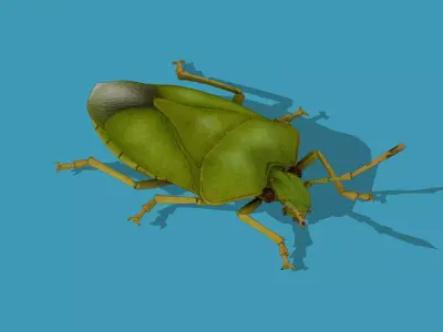 Green rice bug Low-poly 3D model