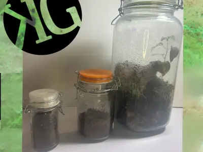 STL - KG Customs and Creations Terrarium lid - 3d print file 3D model