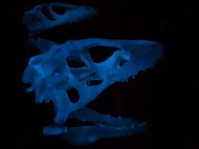 Animatronic Dinosaur Skull Free 3D print model