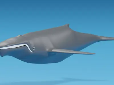 Cartoon Whale 3D model