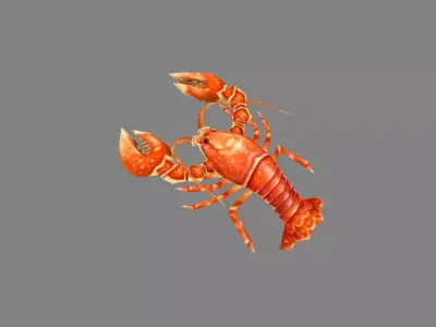 Cartoon Lobster - Sea Shrimp - Crab Low-poly 3D model