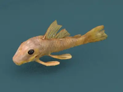 Sailfin Catfish  Low-poly 3D model