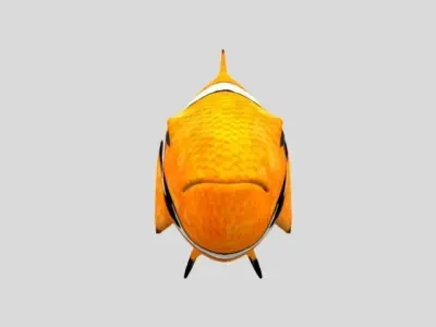 Rig Fish01 Low-poly 3D model