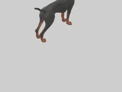 Doberman Pinscher alert model 3D model