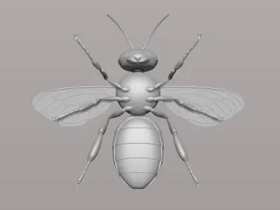 honey bee Free 3D print model
